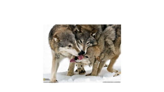 กดที่นี่