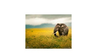 กดที่นี่