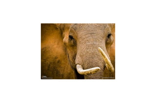 กดที่นี่