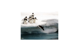 กดที่นี่