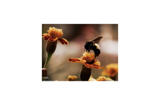 กดที่นี่