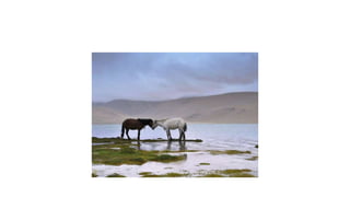 กดที่นี่