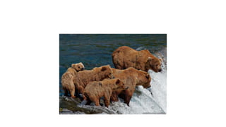 กดที่นี่