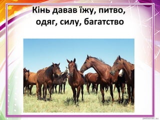 Кінь давав їжу, питво,
одяг, силу, багатство
 