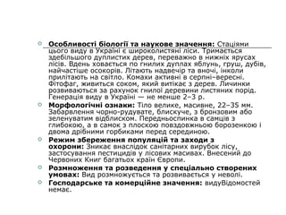  Особливості біології та наукове значення: Стаціями 
цього виду в Україні є широколистяні ліси. Тримається 
здебільшого дуплистих дерев, переважно в нижніх ярусах 
лісів. Вдень ховається по гнилих дуплах яблунь, груш, дубів, 
найчастіше осокорів. Літають надвечір та вночі, інколи 
прилітають на світло. Комахи активні в серпні–вересні. 
Фітофаг, живиться соком, який витікає з дерев. Личинки 
розвиваються за рахунок гнилої деревини листяних порід. 
Генерація виду в Україні — не менше 2–3 р.
 Морфологічні ознаки: Тіло велике, масивне, 22–35 мм. 
Забарвлення чорно-рудувате, блискуче, з бронзовим або 
зеленуватим відблиском. Передньоспинка в самців з 
глибокою, а в самок з плоскою повздовжньою борозенкою і 
двома дрібними горбиками перед серединою.
 Режим збереження популяцій та заходи з
охорони: Зникає внаслідок санітарних вирубок лісу, 
застосування пестицидів у лісових масивах. Внесений до 
Червоних Книг багатьох країн Європи.
 Розмноження та розведення у спеціально створених
умовах: Вид розмножується та розвивається у неволі.
 Господарське та комерційне значення: видуВідомостей 
немає.
 