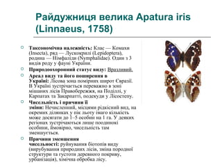 Райдужниця велика Apatura iris
(Linnaeus, 1758)
 Таксономічна належність: Клас — Комахи
(Insecta), ряд — Лускокрилі (Lepidoptera),
родина — Німфаліди (Nymphalidae). Один з 3
видів роду у фауні України.
 Природоохоронний статус виду: Вразливий.
 Ареал виду та його поширення в
Україні: Лісова зона помірних широт Євразії.
В Україні зустрічається переважно в зоні
мішаних лісів Правобережжя, на Поділлі, у
Карпатах та Закарпатті, подекуди у Лісостепу.
 Чисельність і причини її
зміни: Нечисленний, місцями рідкісний вид, на
окремих ділянках у пік льоту імаго кількість
може досягати до 1–5 особин на 1 га. У деяких
регіонах зустрічаються лише поодинокі
особини, ймовірно, чисельність там
зменшується.
 Причини зменшення
чисельності: руйнування біотопів виду
(вирубування природних лісів, зміна породної
структури та густоти деревного покриву,
урбанізація), хімічна обробка лісу.
 