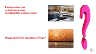 В какое время года
перелётные птицы
возвращаются в родные края?
Откуда прилетают перелётные птицы?
 
