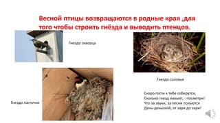 Весной птицы возвращаются в родные края ,для
того чтобы строить гнёзда и выводить птенцов.
Гнездо соловья
Гнездо ласточки
Гнездо скворца
Скоро гости к тебе соберутся,
Сколько гнезд навьют, - посмотри!
Что за звуки, за песни польются
День-деньской, от зари до зари!
 