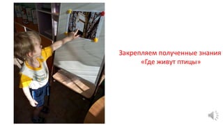 Закрепляем полученные знания
«Где живут птицы»
 