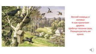 Весной скворцы и
соловьи
К нам прилетают
дружно.
Щебечут песенки свои,
Птенцов растить им
нужно.
 