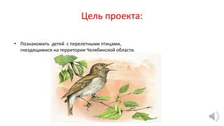 Цель проекта:
• Познакомить детей с перелетными птицами,
гнездящимися на территории Челябинской области.
 