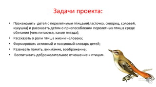 Задачи проекта:
• Познакомить детей с перелетными птицами(ласточка, скворец, соловей,
кукушка) и рассказать детям о приспособлении перелетных птиц в среде
обитания (чем питаются, какие гнезда);
• Рассказать о роли птиц в жизни человека;
• Формировать активный и пассивный словарь детей;
• Развивать память, внимание, воображение;
• Воспитывать доброжелательное отношение к птицам.
 