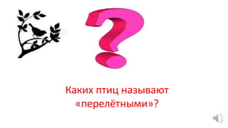 Каких птиц называют
«перелётными»?
 