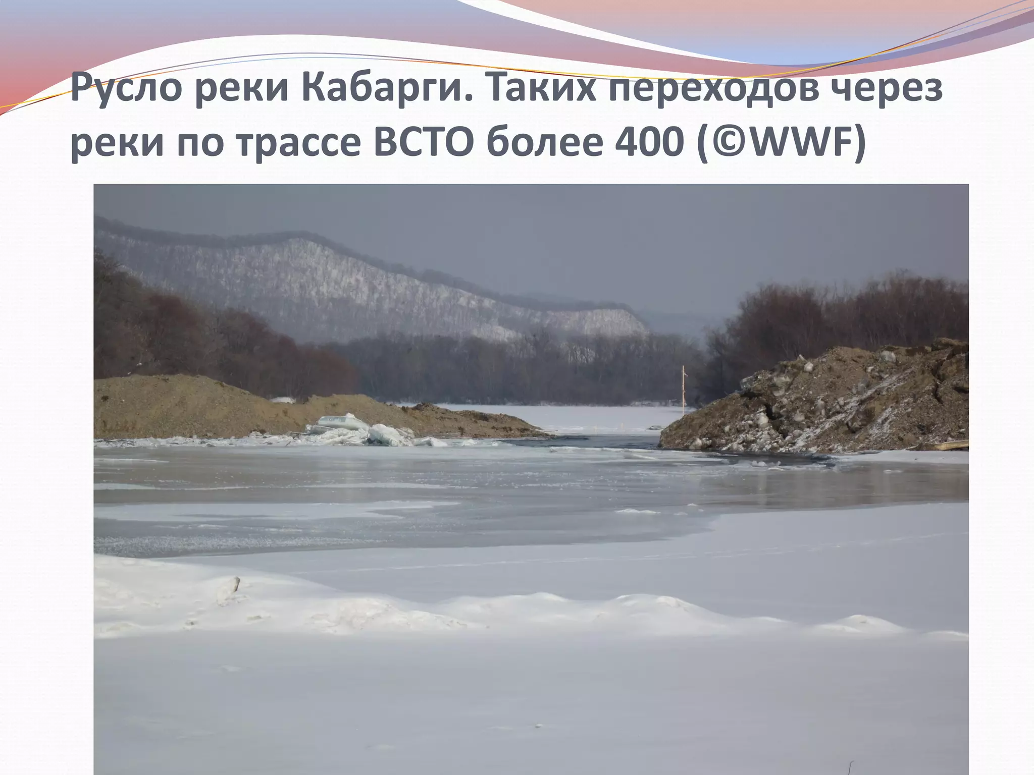 Русло реки Кабарги. Таких переходов через
реки по трассе ВСТО более 400 (©WWF)
 