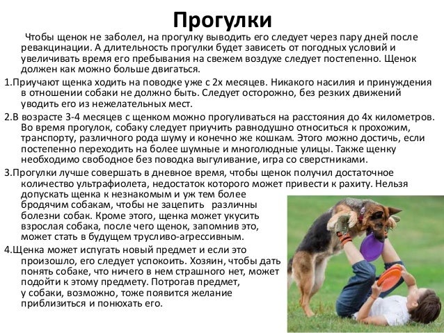 Правило 3: Положительное подкрепление