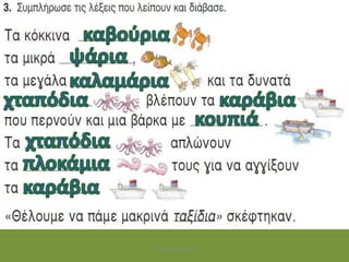 ΤΣΙΤΣΕΡΑΚΗ ΡΑΝΙΑ
 