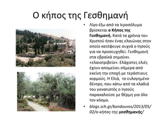 Ο κήπος της Γεσθημανή
• Λίγο έξω από τα Ιεροσόλυμα
βρίσκεται ο Κήπος της
Γεσθημανή. Κατά τα χρόνια του
Χριστού ήταν ένας ελαιώνας στον
οποίο κατέφευγε συχνά ο Ιησούς
για να προσευχηθεί. Γεσθημανή
στα εβραϊκά σημαίνει
«ελαιοτριβείο». Ελάχιστες ελιές
έχουν απομείνει σήμερα από
εκείνη την εποχή με τεράστιους
κορμούς. Η Ελιά, το ευλογημένο
δέντρο, που κάτω από τα κλαδιά
του γονατιστός ο Ιησούς
παρακαλούσε με θέρμη για όλο
τον κόσμο.
• blogs.sch.gr/kondouvos/2013/05/
02/ο-κήπος-της-γεσθημανής/
 