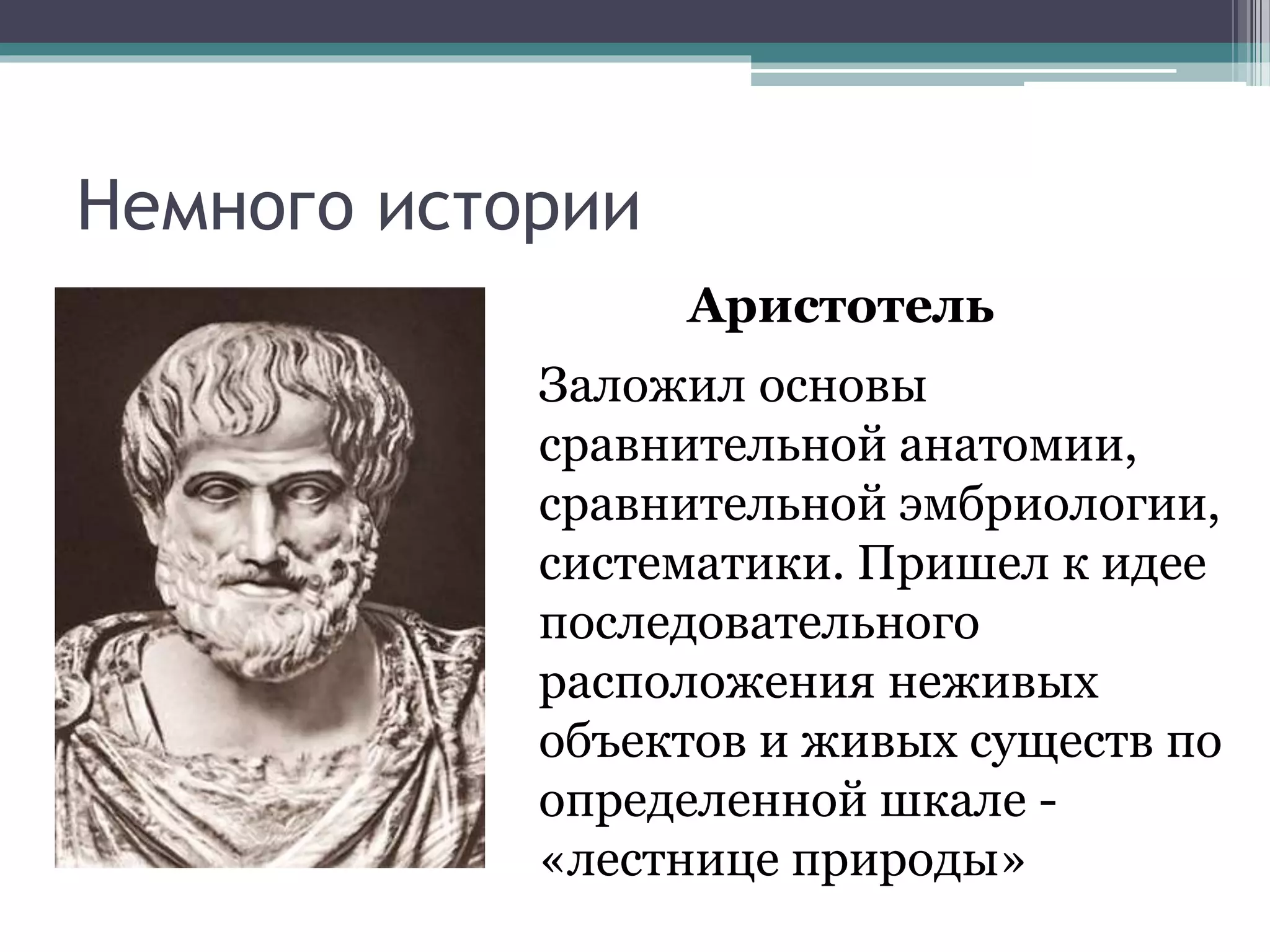 Немного истории
Аристотель
Заложил основы
сравнительной анатомии,
сравнительной эмбриологии,
систематики. Пришел к идее
последовательного
расположения неживых
объектов и живых существ по
определенной шкале -
«лестнице природы»
 