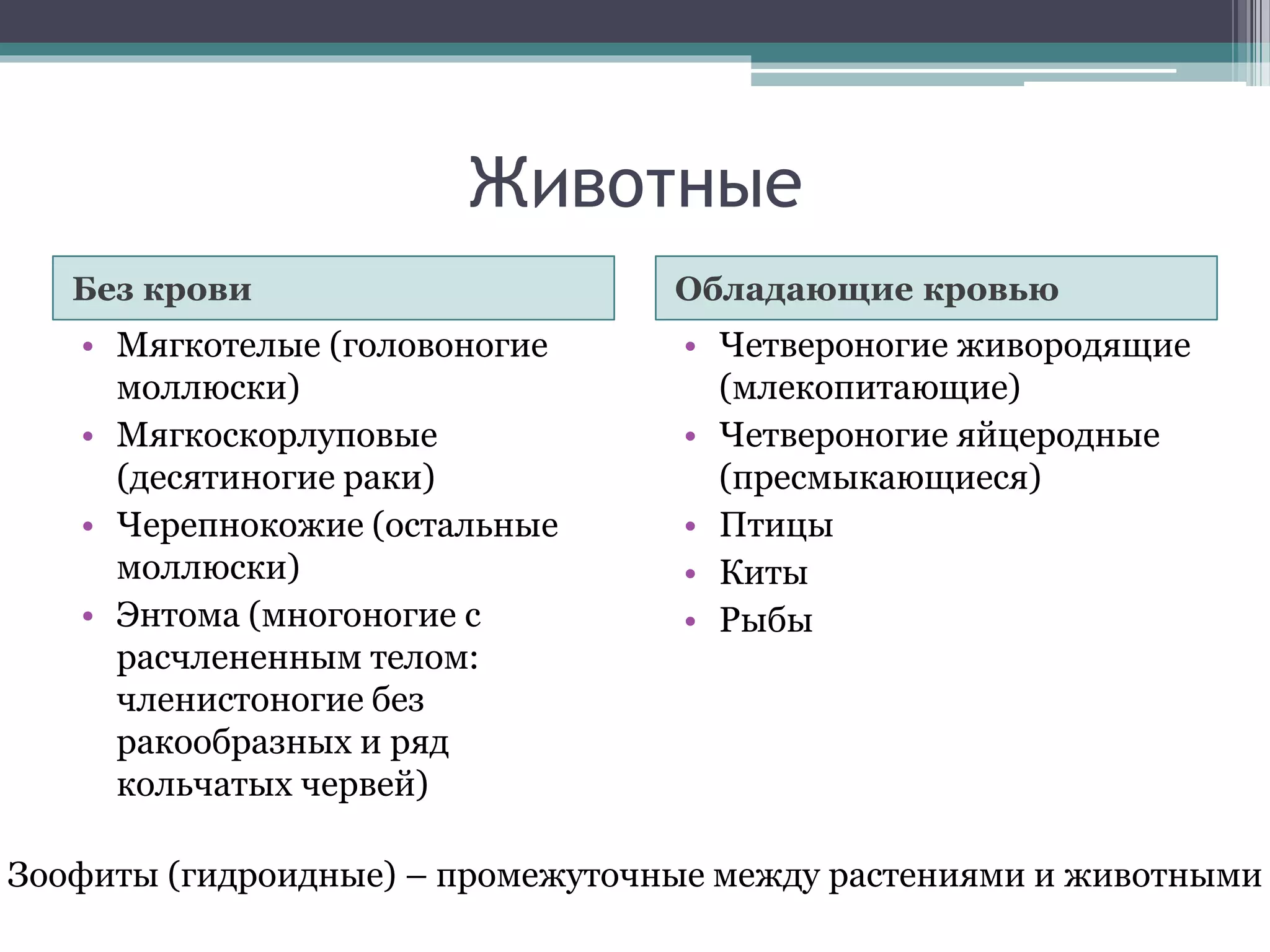 Животные
Без крови Обладающие кровью
• Мягкотелые (головоногие
моллюски)
• Мягкоскорлуповые
(десятиногие раки)
• Черепнокожие (остальные
моллюски)
• Энтома (многоногие с
расчлененным телом:
членистоногие без
ракообразных и ряд
кольчатых червей)
• Четвероногие живородящие
(млекопитающие)
• Четвероногие яйцеродные
(пресмыкающиеся)
• Птицы
• Киты
• Рыбы
Зоофиты (гидроидные) – промежуточные между растениями и животными
 