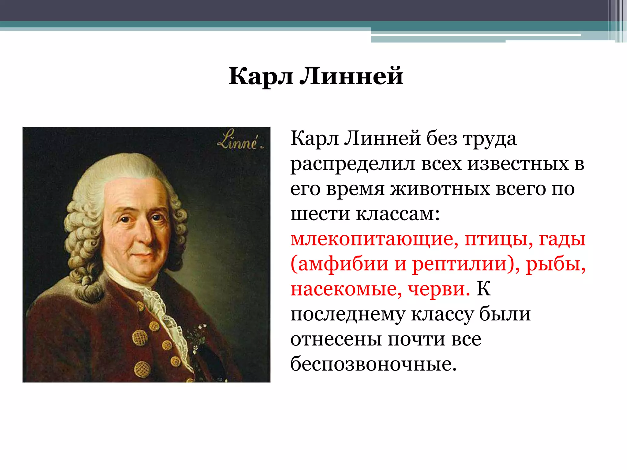 Карл Линней
Карл Линней без труда
распределил всех известных в
его время животных всего по
шести классам:
млекопитающие, птицы, гады
(амфибии и рептилии), рыбы,
насекомые, черви. К
последнему классу были
отнесены почти все
беспозвоночные.
 