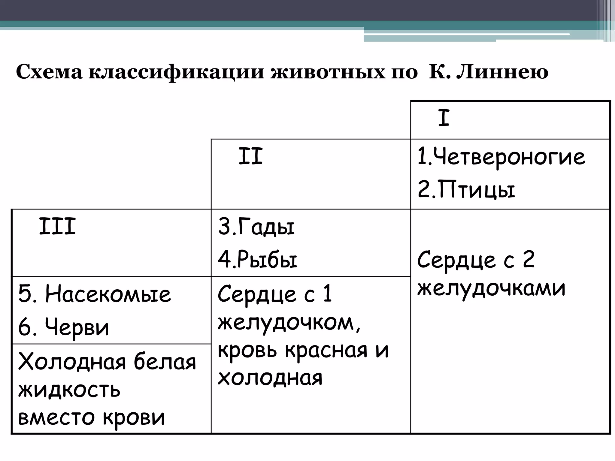 I
II 1.Четвероногие
2.Птицы
III 3.Гады
4.Рыбы Сердце с 2
желудочками5. Насекомые
6. Черви
Сердце с 1
желудочком,
кровь красная и
холодная
Холодная белая
жидкость
вместо крови
Схема классификации животных по К. Линнею
 