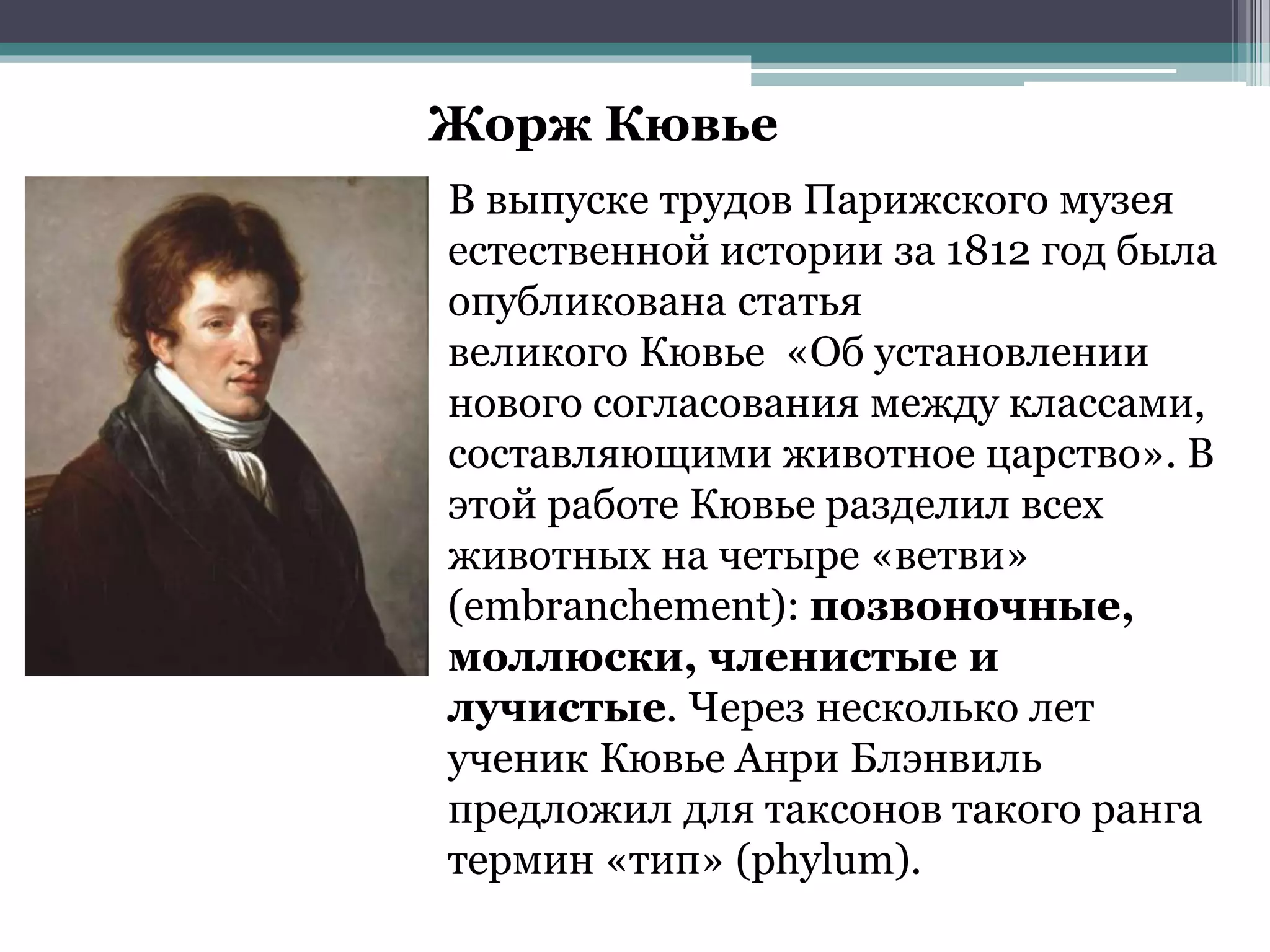Жорж Кювье
В выпуске трудов Парижского музея
естественной истории за 1812 год была
опубликована статья
великого Кювье «Об установлении
нового согласования между классами,
составляющими животное царство». В
этой работе Кювье разделил всех
животных на четыре «ветви»
(embranchement): позвоночные,
моллюски, членистые и
лучистые. Через несколько лет
ученик Кювье Анри Блэнвиль
предложил для таксонов такого ранга
термин «тип» (phylum).
 