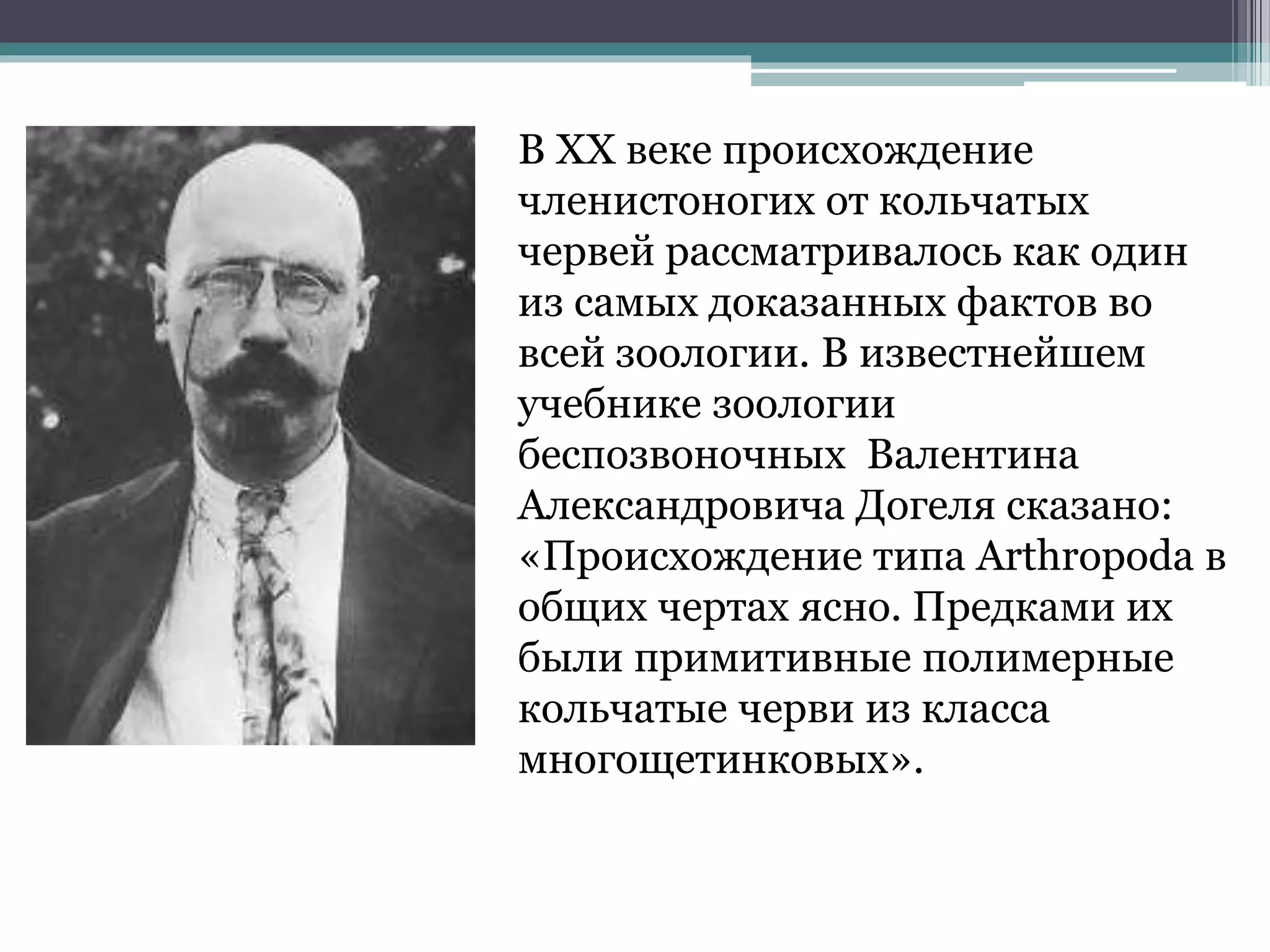В XX веке происхождение
членистоногих от кольчатых
червей рассматривалось как один
из самых доказанных фактов во
всей зоологии. В известнейшем
учебнике зоологии
беспозвоночных Валентина
Александровича Догеля сказано:
«Происхождение типа Arthropoda в
общих чертах ясно. Предками их
были примитивные полимерные
кольчатые черви из класса
многощетинковых».
 