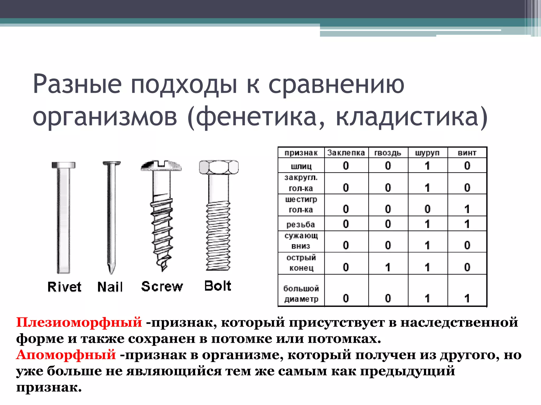 Разные подходы к сравнению
организмов (фенетика, кладистика)
Плезиоморфный -признак, который присутствует в наследственной
форме и также сохранен в потомке или потомках.
Апоморфный -признак в организме, который получен из другого, но
уже больше не являющийся тем же самым как предыдущий
признак.
 