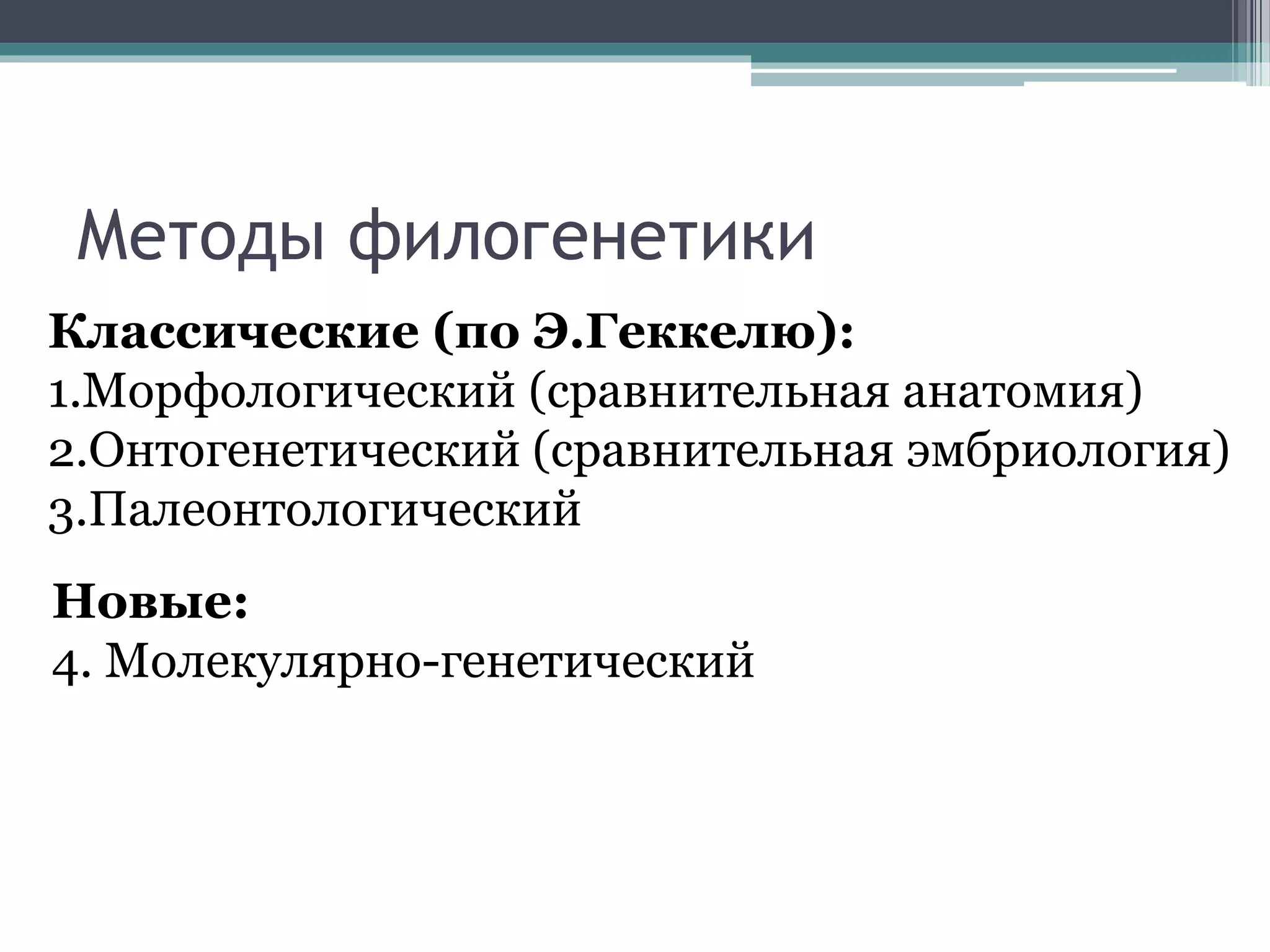 Методы филогенетики
Классические (по Э.Геккелю):
1.Морфологический (сравнительная анатомия)
2.Онтогенетический (сравнительная эмбриология)
3.Палеонтологический
Новые:
4. Молекулярно-генетический
 