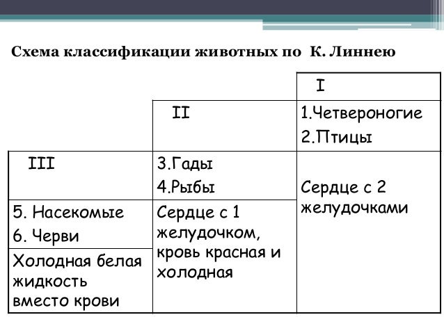 Торговая классификация схема Торговая классификация схема