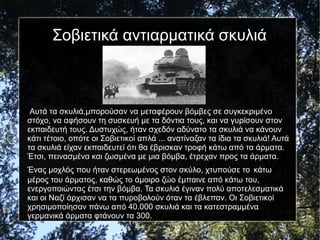 Σοβιετικά αντιαρματικά σκυλιά

Αυτά τα σκυλιά,μπορούσαν να μεταφέρουν βόμβες σε συγκεκριμένο
στόχο, να αφήσουν τη συσκευή με τα δόντια τους, και να γυρίσουν στον
εκπαιδευτή τους. Δυστυχώς, ήταν σχεδόν αδύνατο τα σκυλιά να κάνουν
κάτι τέτοιο, οπότε οι Σοβιετικοί απλά ... ανατίναζαν τα ίδια τα σκυλιά! Αυτά
τα σκυλιά είχαν εκπαιδευτεί ότι θα έβρισκαν τροφή κάτω από τα άρματα.
Έτσι, πεινασμένα και ζωσμένα με μια βόμβα, έτρεχαν προς τα άρματα.
Ένας μοχλός που ήταν στερεωμένος στον σκύλο, χτυπούσε το κάτω
μέρος του άρματος, καθώς το άμοιρο ζώο έμπαινε από κάτω του,
ενεργοποιώντας έτσι την βόμβα. Τα σκυλιά έγιναν πολύ αποτελεσματικά
και οι Ναζί άρχισαν να τα πυροβολούν όταν τα έβλεπαν. Οι Σοβιετικοί
χρησιμοποίησαν πάνω από 40.000 σκυλιά και τα κατεστραμμένα
γερμανικά άρματα φτάνουν τα 300.
 