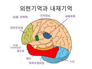 외현기억과 내재기억
전전두피질
기저전뇌 내배측핵
하측두엽피질
 