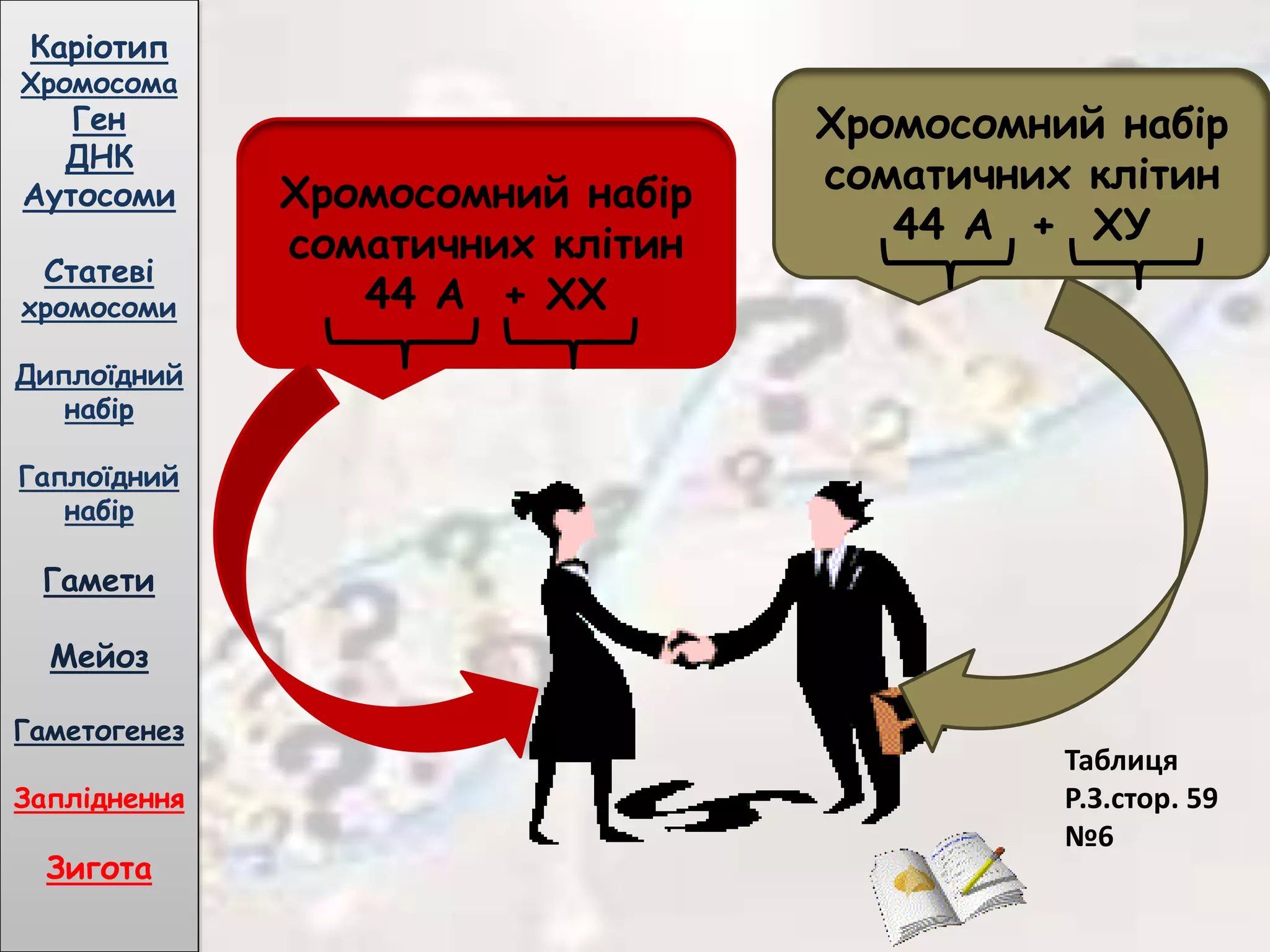 Хромосомний набір
соматичних клітин
44 А + ХХ
Хромосомний набір
соматичних клітин
44 А + ХУ
Каріотип
Хромосома
Ген
ДНК
Аутосоми
Статеві
хромосоми
Диплоїдний
набір
Гаплоїдний
набір
Гамети
Мейоз
Гаметогенез
Запліднення
Зигота
Таблиця
Р.З.стор. 59
№6
 