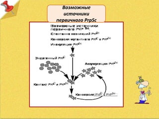 Возможные
источники
первичного РrpSc
 