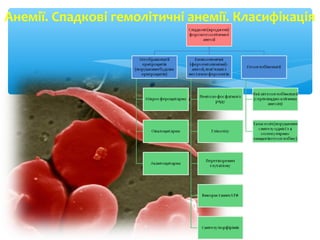 Анемії. Спадкові гемолітичні анемії. Класифікація
 