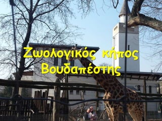 Ζωολογικός κήπος
Βουδαπέστης
 