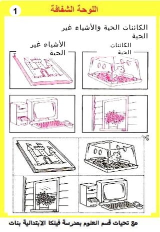 1
‫غير‬ ‫والشياء‬ ‫الحية‬ ‫الكائنات‬
‫الحية‬
‫الكائنات‬
‫الحية‬
‫غير‬ ‫الشياء‬
‫الحية‬
 