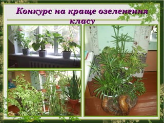 Конкурс на краще озелененняКонкурс на краще озеленення
класукласу
 