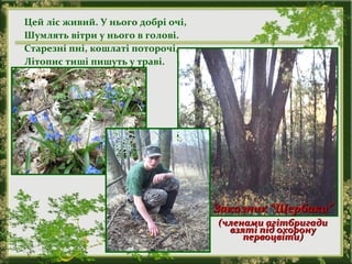 Цей ліс живий. У нього добрі очі,
Шумлять вітри у нього в голові.
Старезні пні, кошлаті поторочі,
Літопис тиші пишуть у траві.
Заказник “Щербаки”Заказник “Щербаки”
(членами агітбригади(членами агітбригади
взяті під охоронувзяті під охорону
первоцвіти)первоцвіти)
 