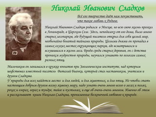 Николай Иванович Сладков
Всё его творчество даёт нам почувствовать,
что такое любовь к Родине.
Николай Иванович Сладков родился в Москве, но всю свою жизнь прожил
в Ленинграде, в Царском Селе. Здесь, неподалеку от его дома, было много
старых лесопарков, где будущий писатель открыл для себя целый мир,
необычайно богатый тайнами природы. Целыми днями он пропадал в
самых глухих местах окружающих парков, где всматривался и
вслушивался в жизнь леса. Бродя среди старых деревьев, он с детства
проникся мудростью природы, научился узнавать по голосам самых
разных птиц.
Мальчиком он занимался в кружке юннатов при Зоологическом институте, над которым
шефствовал известный писатель Виталий Бианки, который стал наставником, учителем и
другом Сладкова.
У природы для всех найдется место: и для людей, и для животных, и для птиц. Но чтобы стать
настоящим добрым другом всему живому миру, надо узнать очень много всего о лесах и полях,
реках и озерах, горах и тундре, тайге и пустынях, и еще об очень-очень многом. Именно об этом
и рассказывают книги Николая Сладкова, пронизанные бесконечной любовью к природе.
 