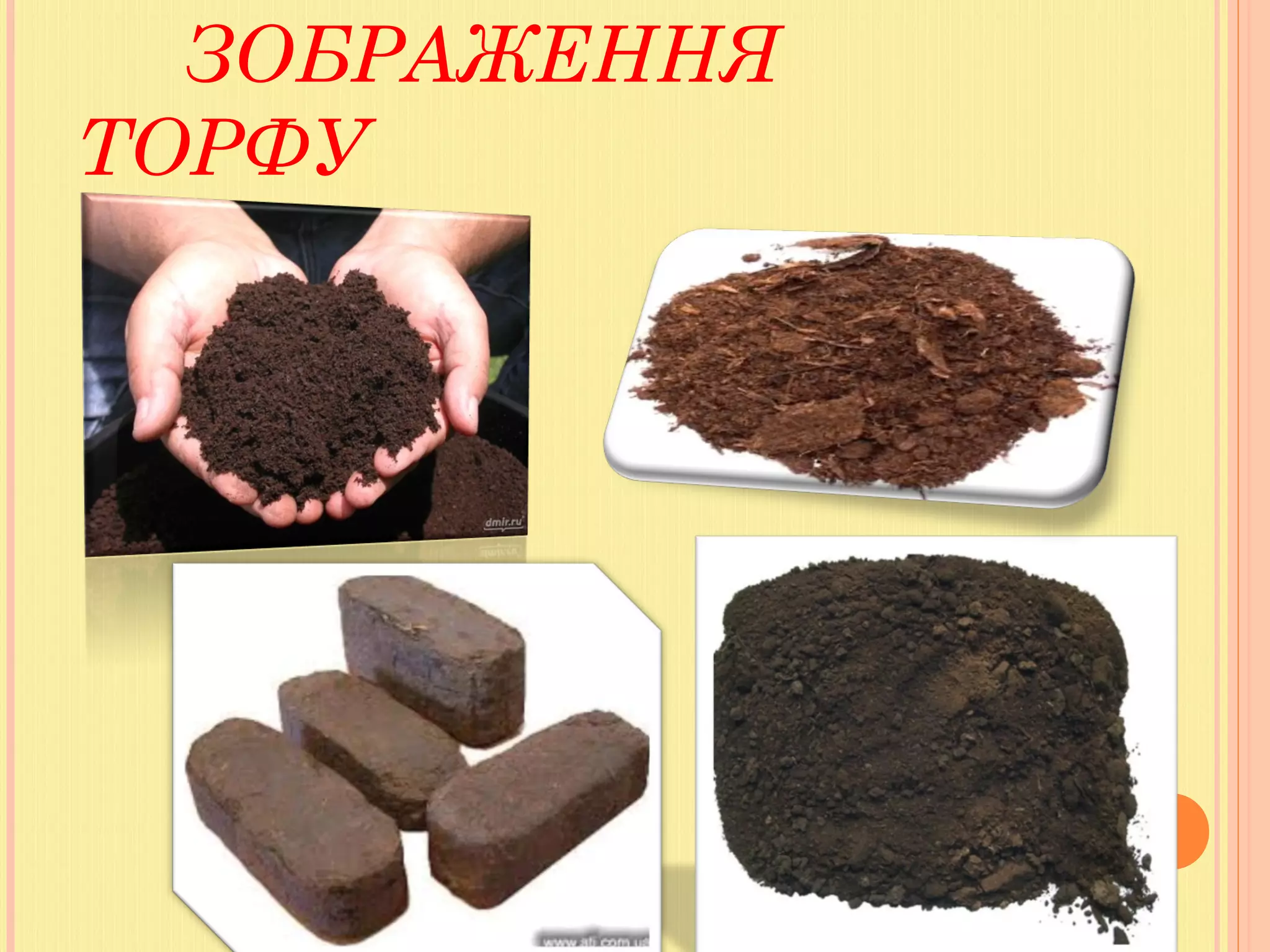 ЗОБРАЖЕННЯ
ТОРФУ
 