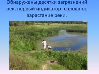 Обнаружены десятки загрязнений
рек, первый индикатор -сплошное
зарастание реки.
 