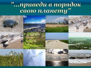 конференція