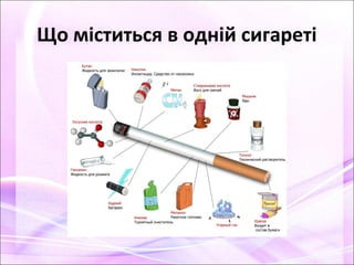 Що міститься в одній сигареті
 