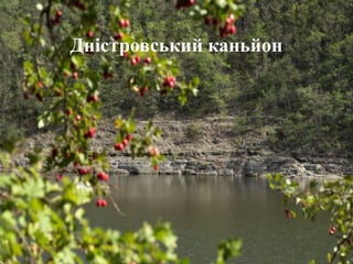 Дністровський каньйон
 