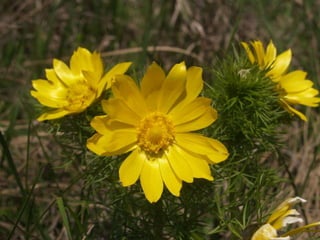 НПП "Хотинський"  - презентація екотуристичних можливостей  на туристичній виставці UITT2015