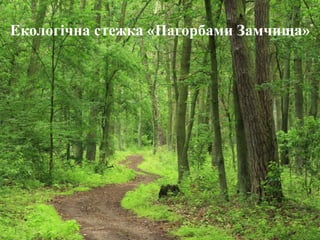 Екологічна стежка «Пагорбами Замчища»
 