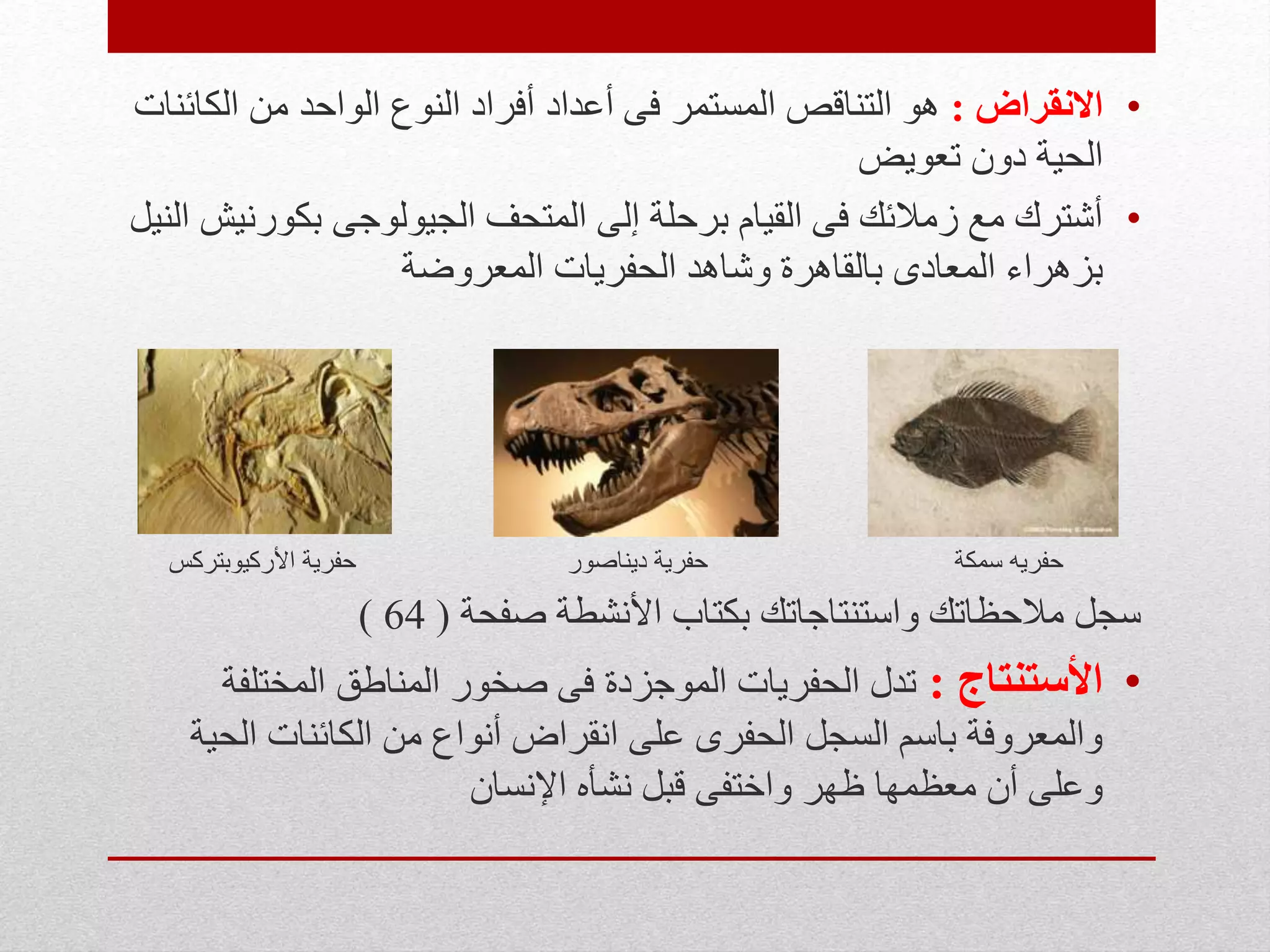 •‫االنقراض‬:‫الك‬ ‫من‬ ‫الواحد‬ ‫النوع‬ ‫أفراد‬ ‫أعداد‬ ‫فى‬ ‫المستمر‬ ‫التناقص‬ ‫هو‬‫ائنات‬
‫تعويض‬ ‫دون‬ ‫الحية‬
•‫بكور‬ ‫الجيولوجى‬ ‫المتحف‬ ‫إلى‬ ‫برحلة‬ ‫القيام‬ ‫فى‬ ‫زمالئك‬ ‫مع‬ ‫أشترك‬‫النيل‬ ‫نيش‬
‫المعروضة‬ ‫الحفريات‬ ‫وشاهد‬ ‫بالقاهرة‬ ‫المعادى‬ ‫بزهراء‬
‫سمكة‬ ‫حفريه‬‫ديناصور‬ ‫حفرية‬‫األركيوبتركس‬ ‫حفرية‬
‫صفحة‬ ‫األنشطة‬ ‫بكتاب‬ ‫واستنتاجاتك‬ ‫مالحظاتك‬ ‫سجل‬(64)
•‫األستنتاج‬:‫المختلف‬ ‫المناطق‬ ‫صخور‬ ‫فى‬ ‫الموجزدة‬ ‫الحفريات‬ ‫تدل‬‫ة‬
‫الح‬ ‫الكائنات‬ ‫من‬ ‫أنواع‬ ‫انقراض‬ ‫على‬ ‫الحفرى‬ ‫السجل‬ ‫باسم‬ ‫والمعروفة‬‫ية‬
‫اإلنسان‬ ‫نشأه‬ ‫قبل‬ ‫واختفى‬ ‫ظهر‬ ‫معظمها‬ ‫أن‬ ‫وعلى‬
 