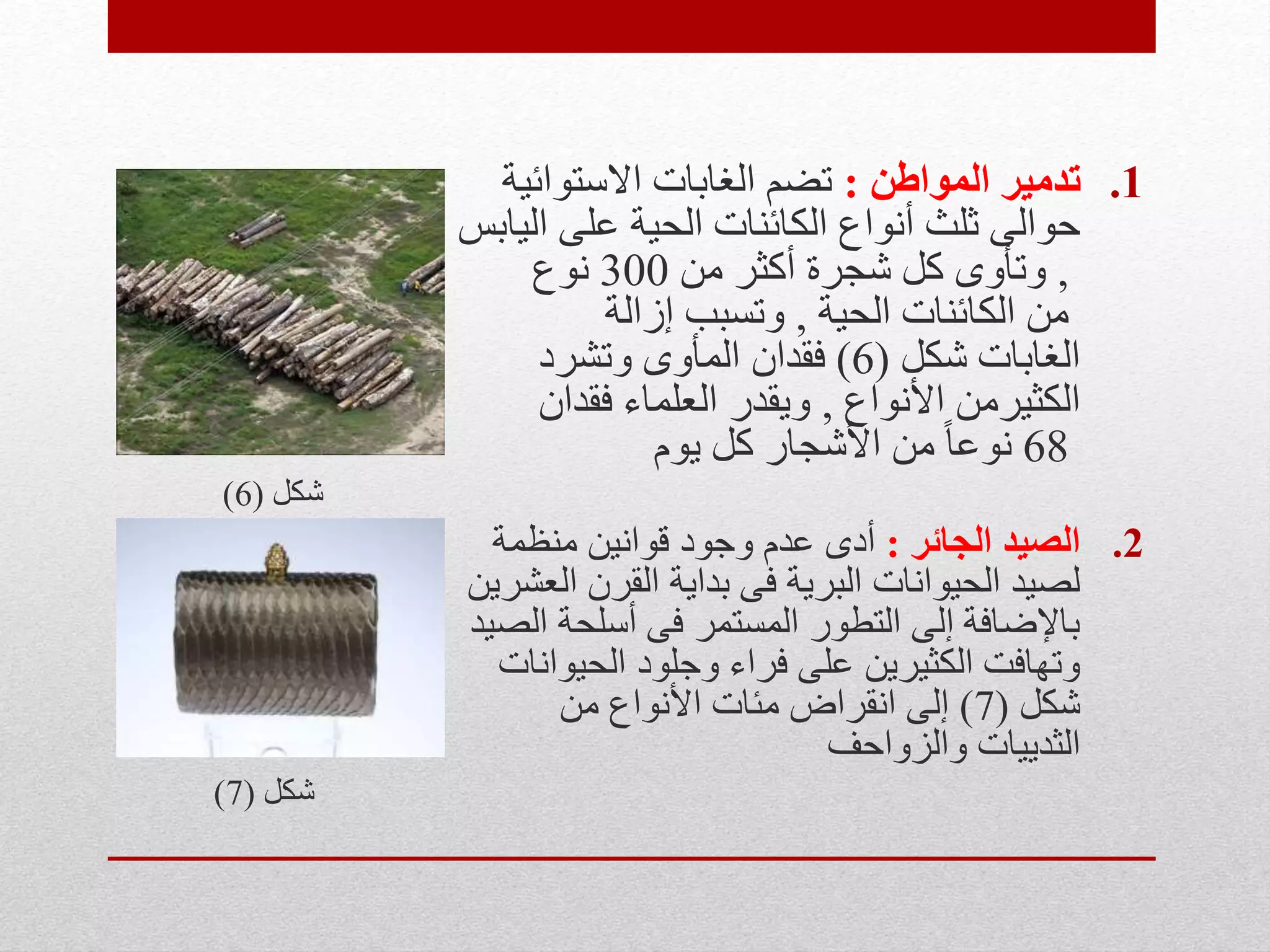 .1‫المواطن‬ ‫تدمير‬:‫االستوائية‬ ‫الغابات‬ ‫تضم‬
‫اليابس‬ ‫على‬ ‫الحية‬ ‫الكائنات‬ ‫أنواع‬ ‫ثلث‬ ‫حوالى‬
,‫من‬ ‫أكثر‬ ‫شجرة‬ ‫كل‬ ‫وتأوى‬300‫نوع‬
‫الحية‬ ‫الكائنات‬ ‫من‬,‫إزالة‬ ‫وتسبب‬
‫الغابات‬‫شكل‬(6)‫وتشرد‬ ‫المأوى‬ ‫فقدان‬
‫األنواع‬ ‫الكثيرمن‬,‫فقدان‬ ‫العلماء‬ ‫ويقدر‬
68‫يوم‬ ‫كل‬ ‫األشجار‬ ‫من‬ ً‫ا‬‫نوع‬
‫شكل‬(6)
.2‫الجائر‬ ‫الصيد‬:‫منظمة‬ ‫قوانين‬ ‫وجود‬ ‫عدم‬ ‫أدى‬
‫العشرين‬ ‫القرن‬ ‫بداية‬ ‫فى‬ ‫البرية‬ ‫الحيوانات‬ ‫لصيد‬
‫الصيد‬ ‫أسلحة‬ ‫فى‬ ‫المستمر‬ ‫التطور‬ ‫إلى‬ ‫باإلضافة‬
‫الحيوانات‬ ‫وجلود‬ ‫فراء‬ ‫على‬ ‫الكثيرين‬ ‫وتهافت‬
‫شكل‬(7)‫من‬ ‫األنواع‬ ‫مئات‬ ‫انقراض‬ ‫إلى‬
‫والزواحف‬ ‫الثدييات‬
‫شكل‬(7)
 