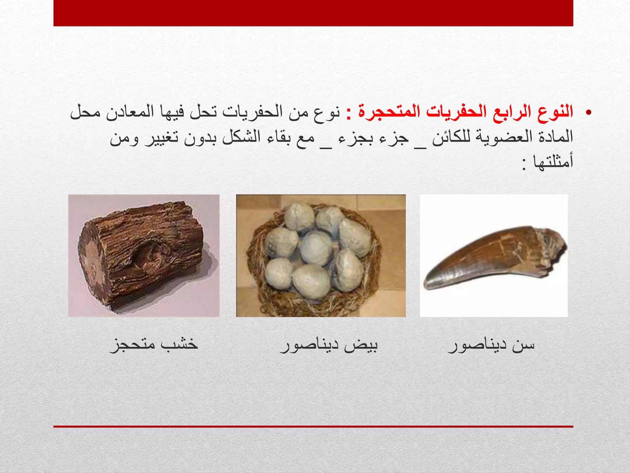 •‫النوع‬‫المتحجرة‬ ‫الحفريات‬ ‫الرابع‬:‫المع‬ ‫فيها‬ ‫تحل‬ ‫الحفريات‬ ‫من‬ ‫نوع‬‫محل‬ ‫ادن‬
‫للكائن‬ ‫العضوية‬ ‫المادة‬_‫بجزء‬ ‫جزء‬_‫و‬ ‫تغيير‬ ‫بدون‬ ‫الشكل‬ ‫بقاء‬ ‫مع‬‫من‬
‫أمثلتها‬:
‫متحجز‬ ‫خشب‬ ‫ديناصور‬ ‫بيض‬ ‫ديناصور‬ ‫سن‬
 